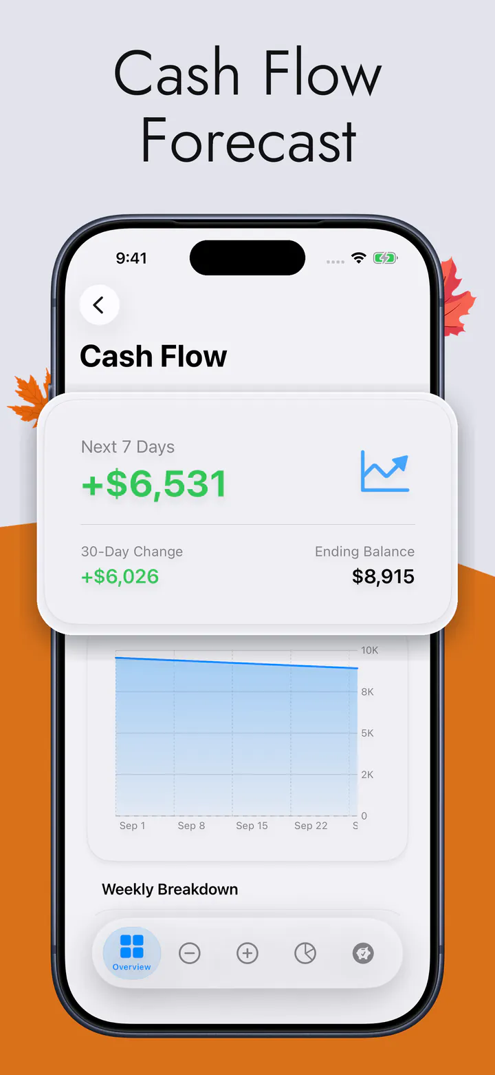 Cash Flow Forecast